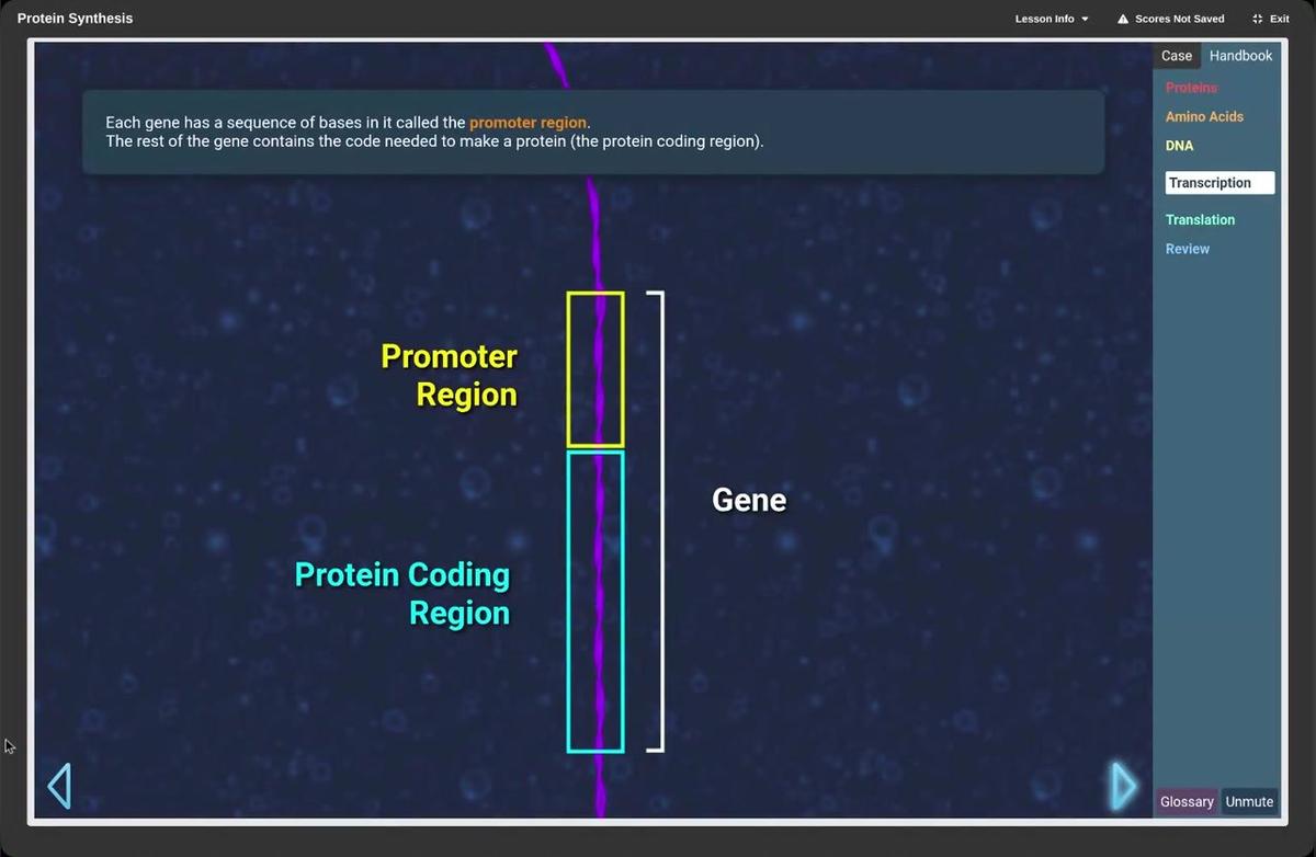 RNA creation