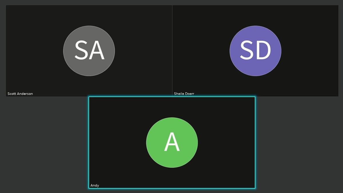 Scott_Anderson_video_meeting_2024-12-12_14-50-21