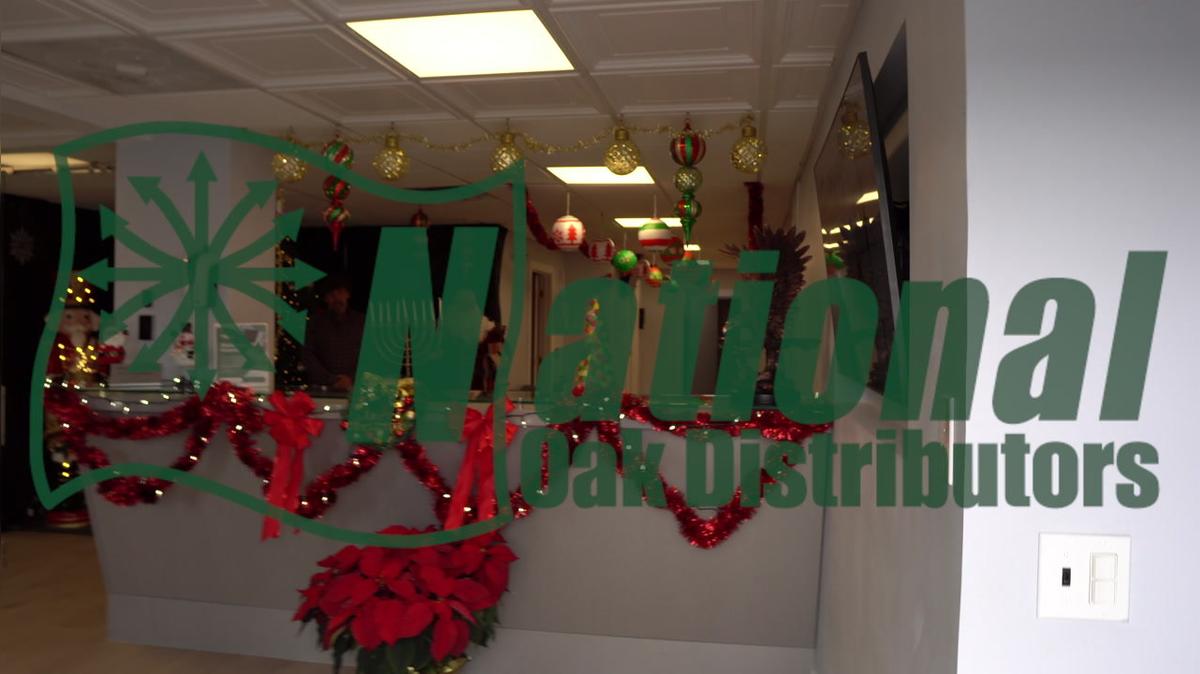 Holiday Video 2024