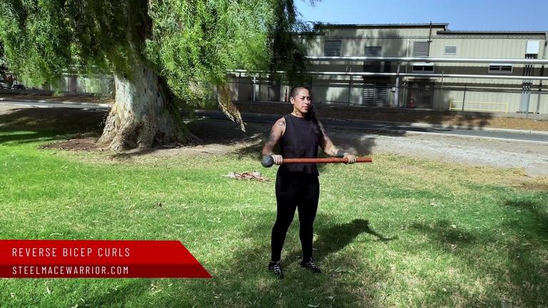 Reverse Bicep Curls