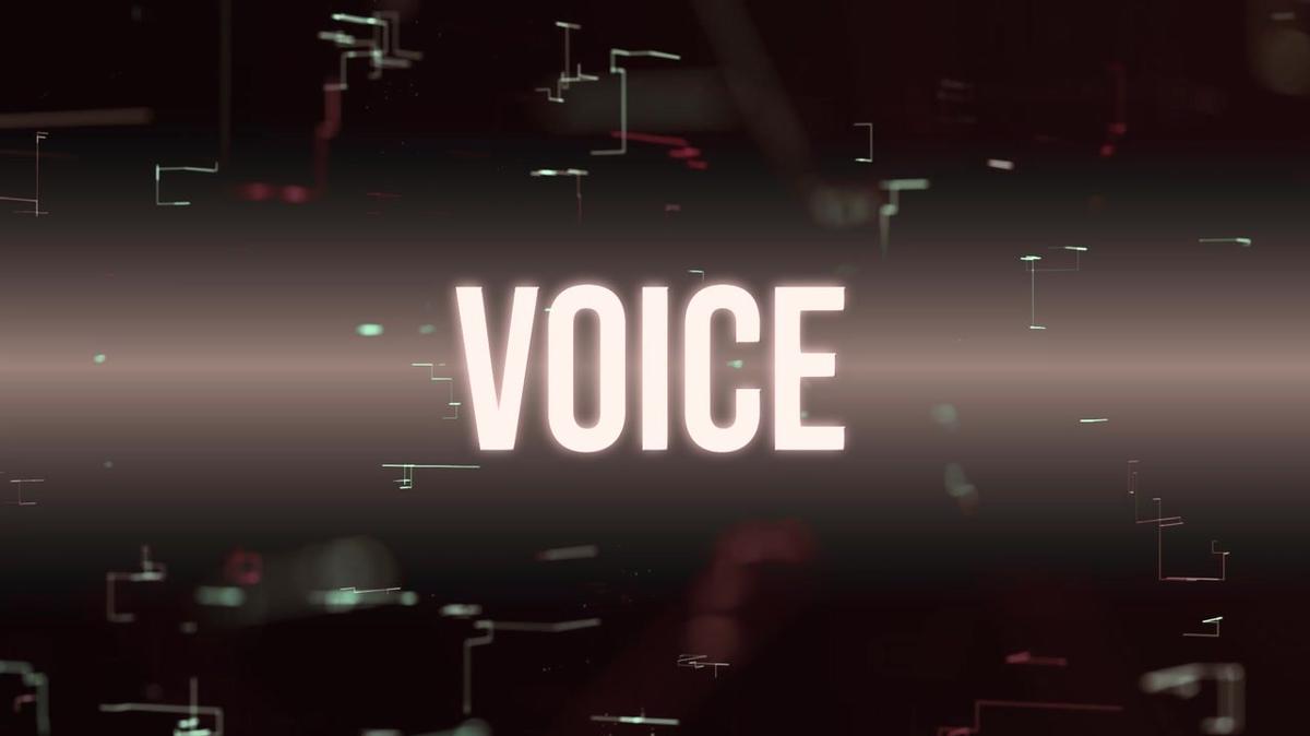  CROWNESTATE_VOICE_20250619