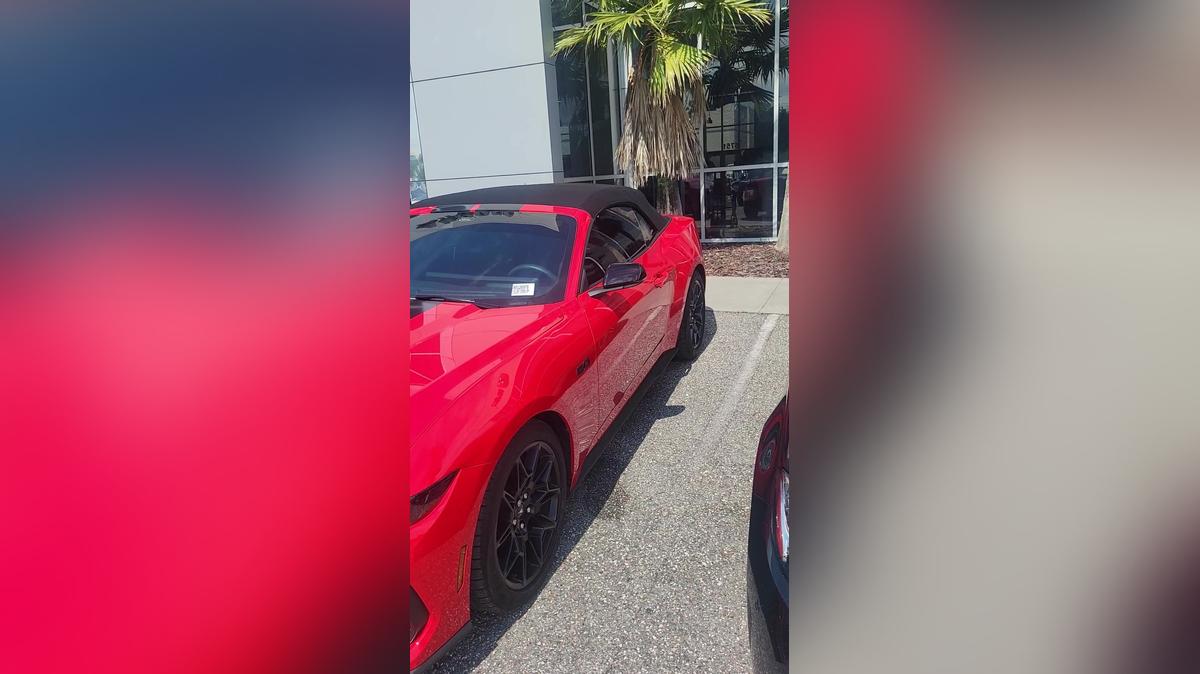 DON - MUSTANG GT