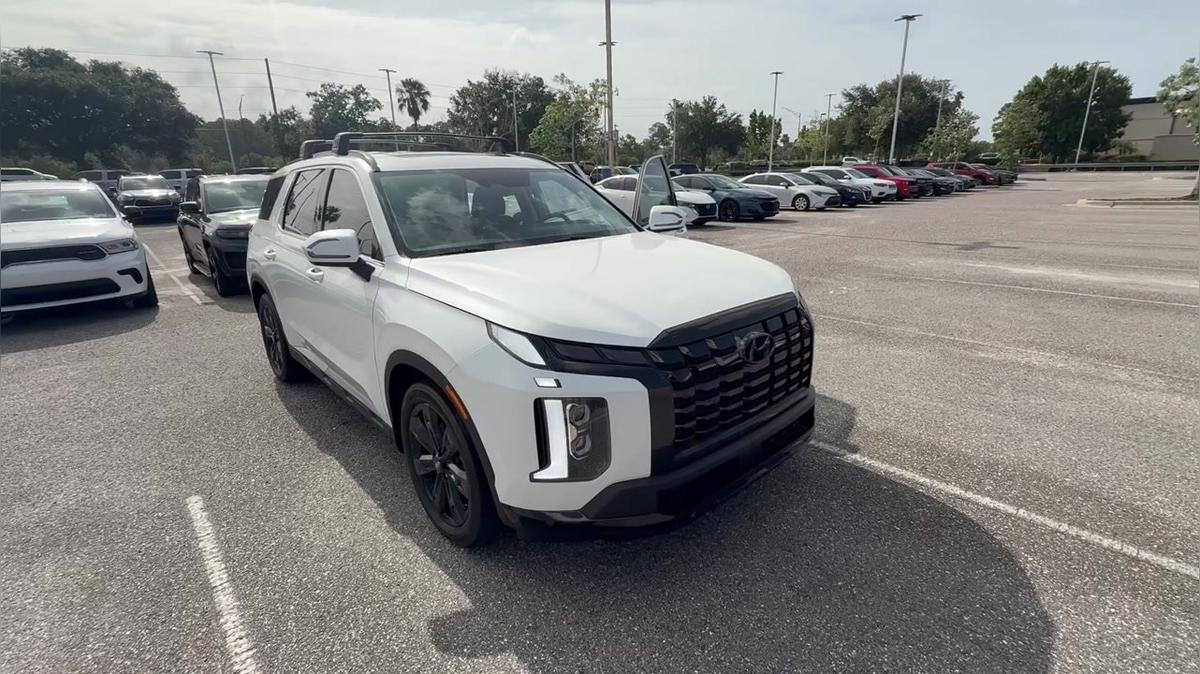 Kelli Anne&#39;s Hyundai Pallisade - Nick B 315-749-3934
