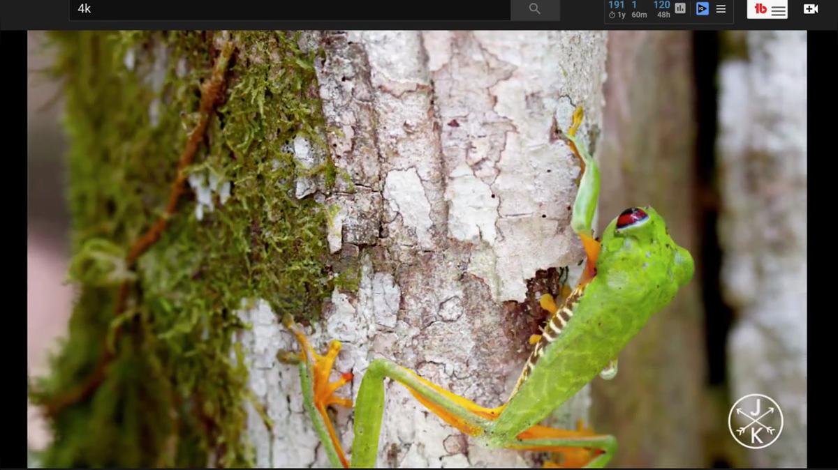 Live Stream 2020-05-14 14:01