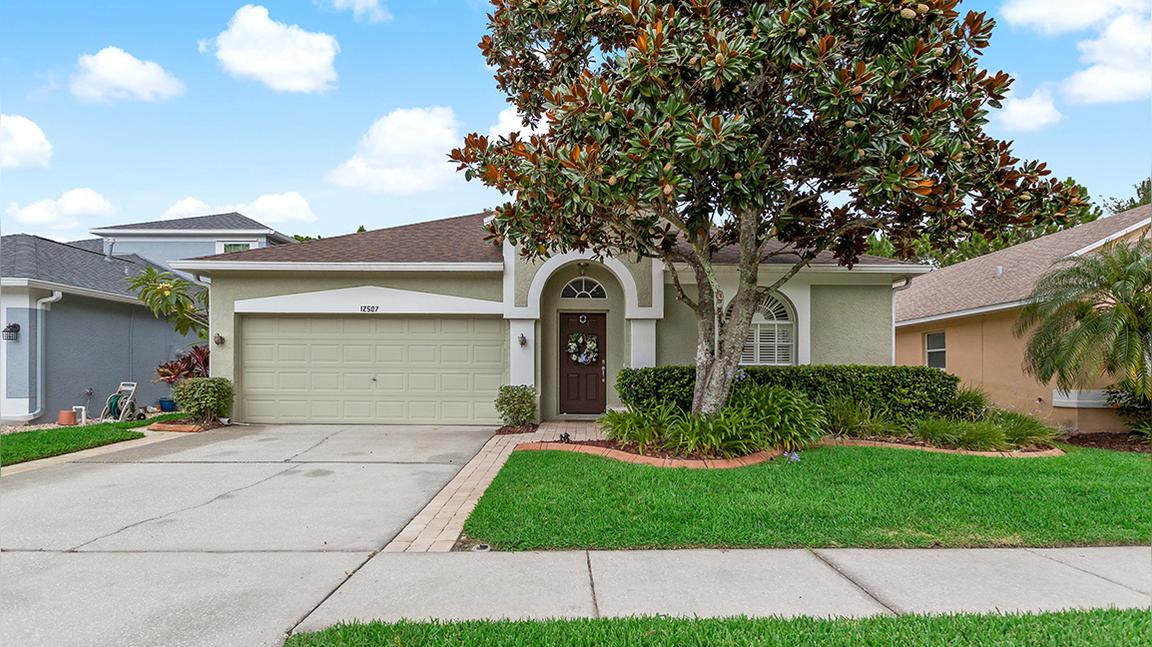 12507 Blazing Star Dr., Tampa, FL 33626