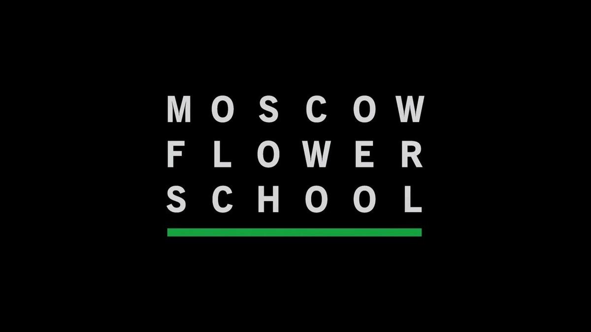 Как устроен курс MFS