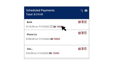 Editing or Deleting a Pending Payment