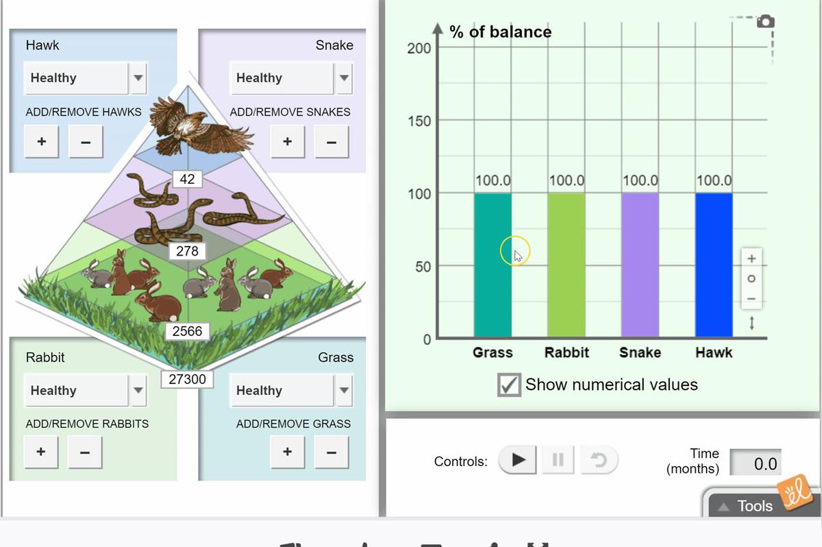 Rabbit Half Population.gif