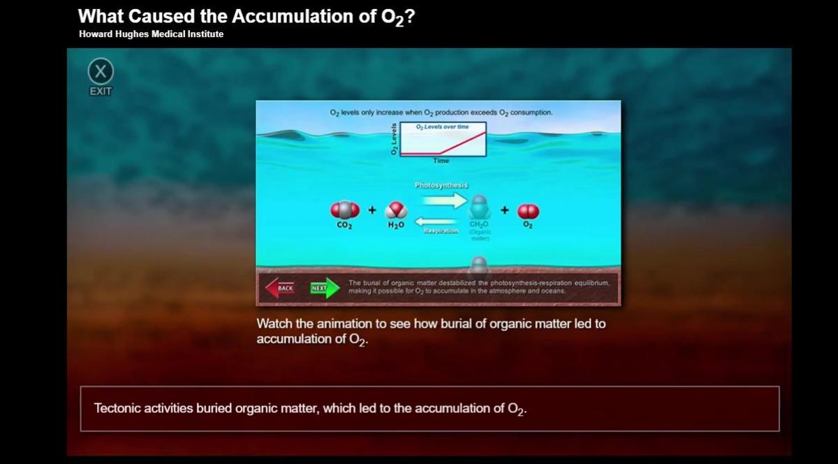 Q1Week8accumulation of O2.mp4