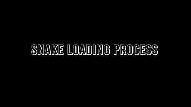 Snake Loading Process