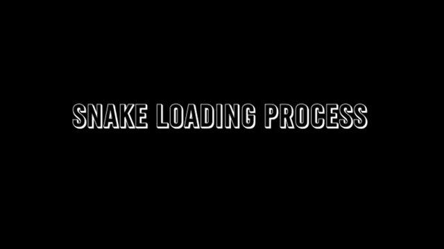Snake Loading Process