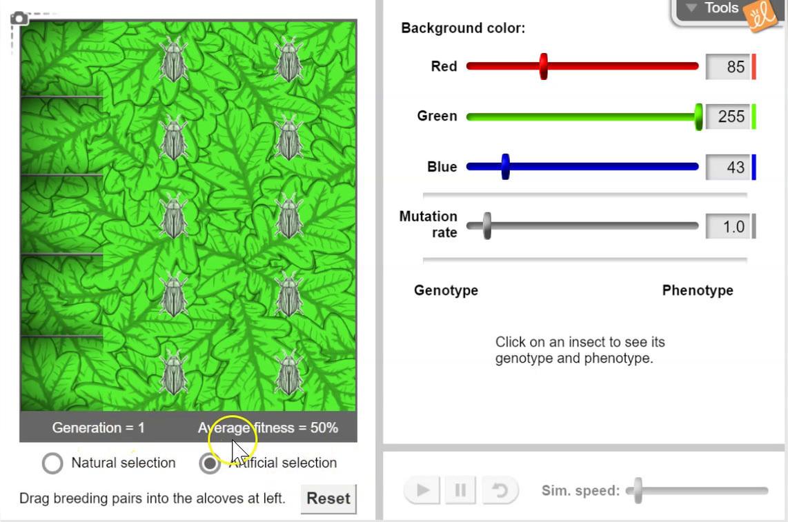 first 5 generations.mp4