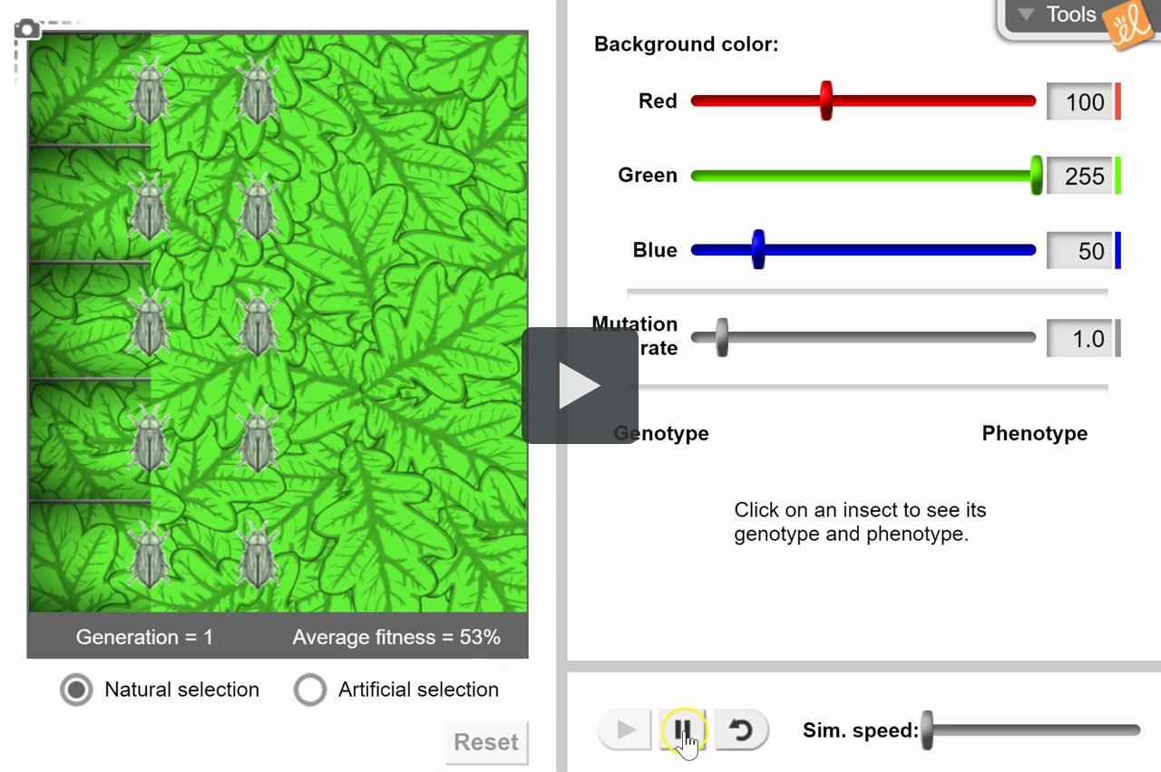 Mutation Report Definition