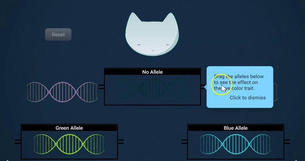 Change in Alleles.mp4