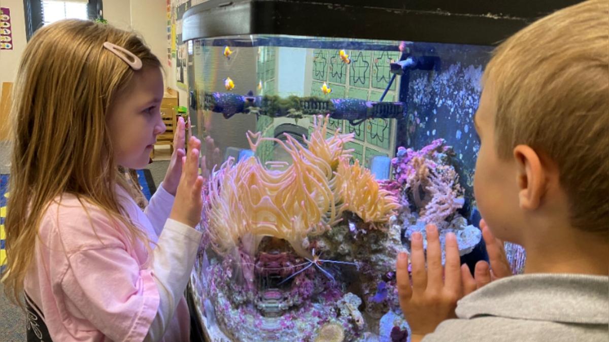 The Margin of Excellence - Animal Care &amp; Elementary