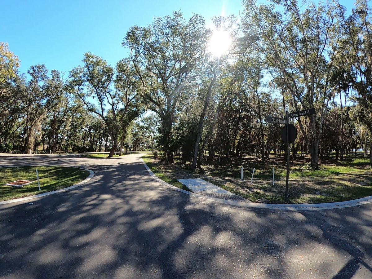 Homestead Collection - Ride Around - Jan 2021.MP4