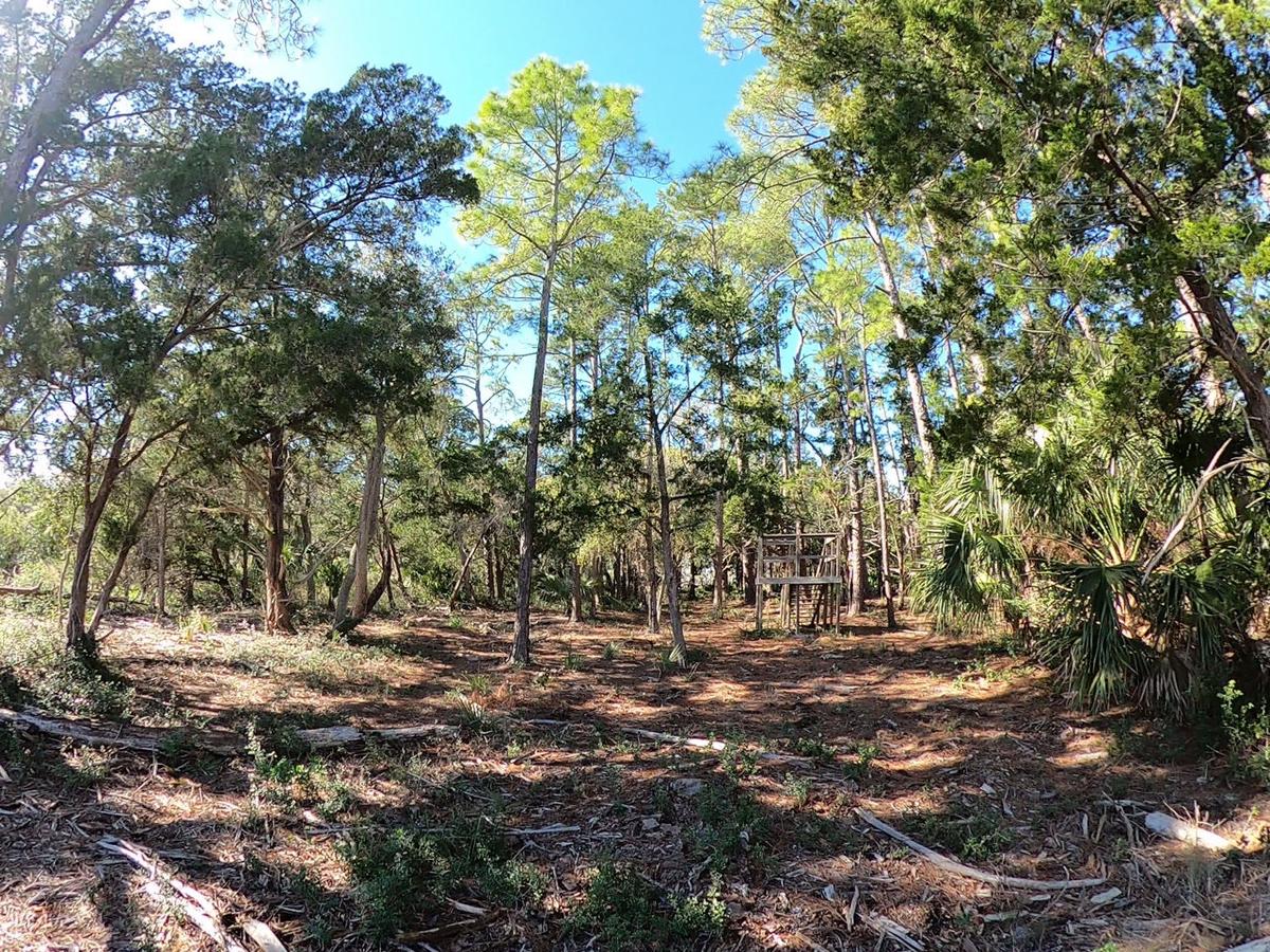 Lot 95 - Ride Out - Jan 2021.MP4