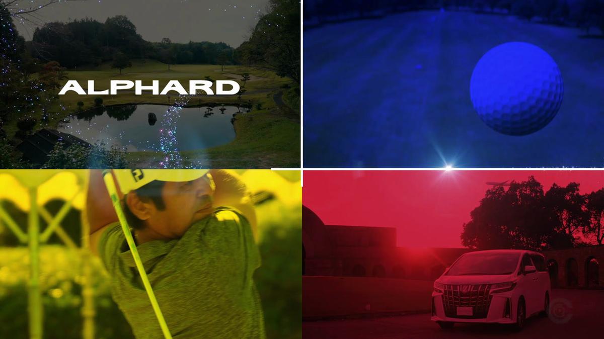 Alphard_30.mp4
