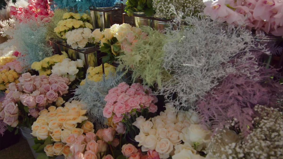 PassionRoses-Full Bloom-11.19.20