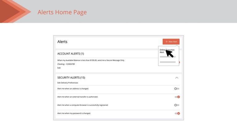 Online Transaction Alerts