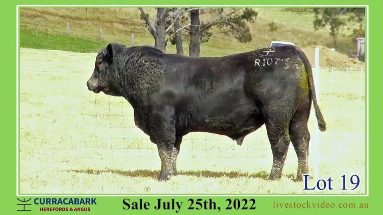 Lot 19 Curracabark 2022