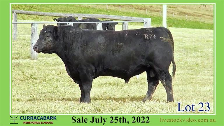Lot 23 Curracabark 2022