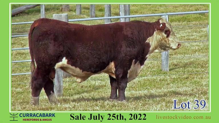 Lot 39 Curracabark 2022