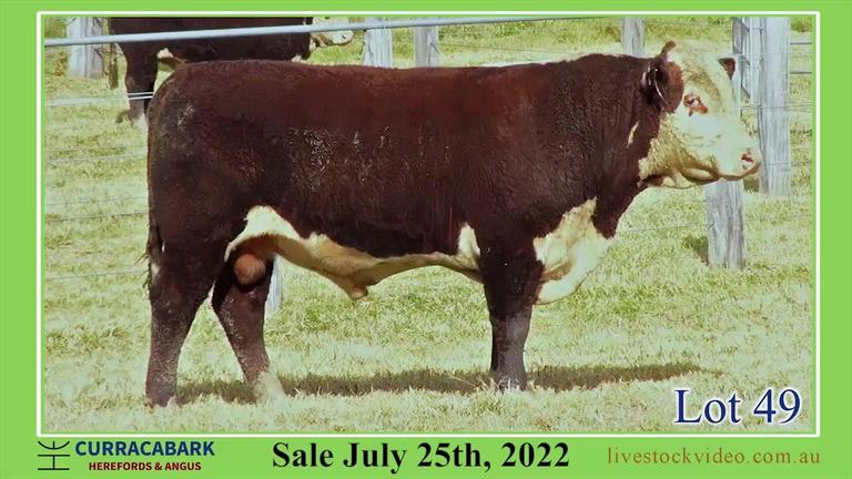 Lot 49 Curracabark 2022