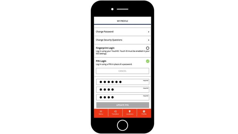 PIN Login