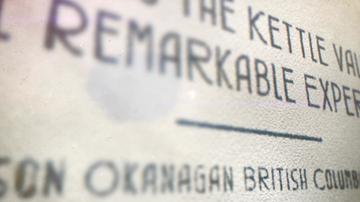 KVR Remarkable Experience
