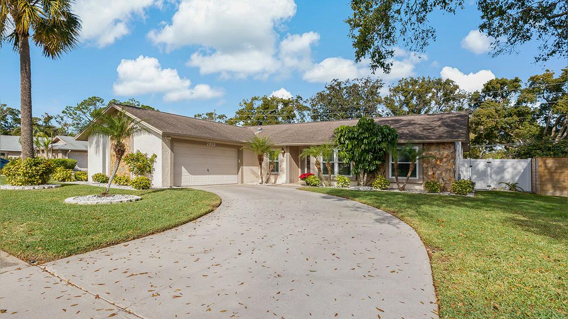 2813 Paddock Drive, Palm Harbor FL
