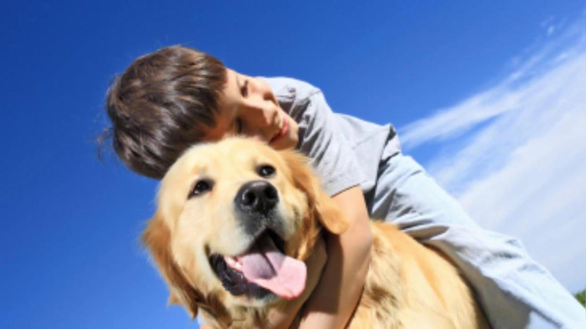 Veterinarian in Ann Arbor MI, Emergency Veterinary Hospital