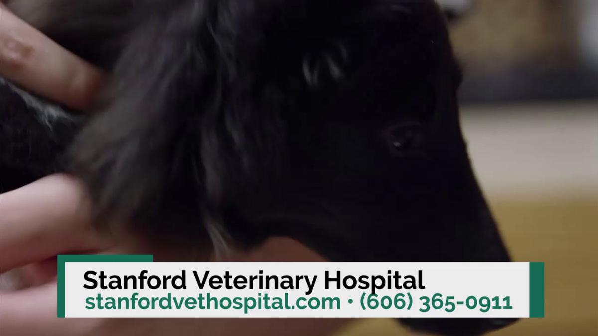 Animal Hospital in Stanford KY, Stanford Veterinary Hospital