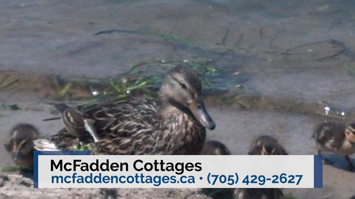 Cottage Rental in Wasaga Beach ON, McFadden Cottages