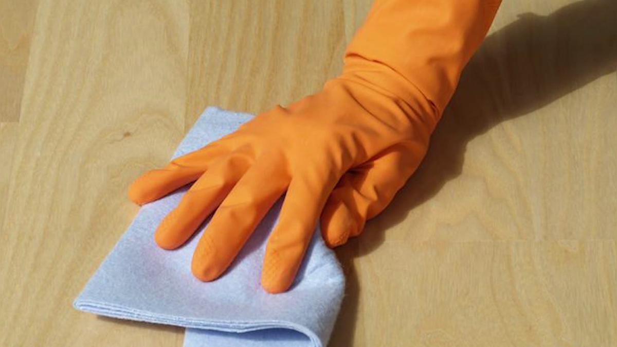 Specialty Cleaning Service in Prince George BC, Esporta PG