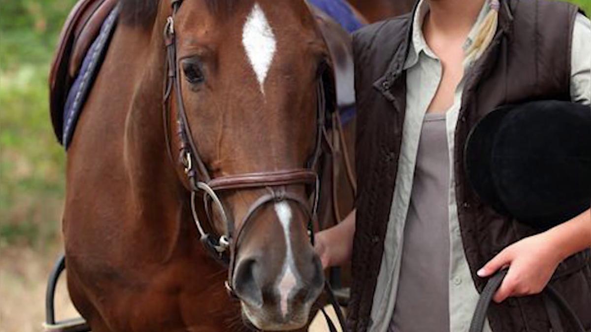 Equine Infectious Anemia in Austin TX, Veterinary Medical Lab