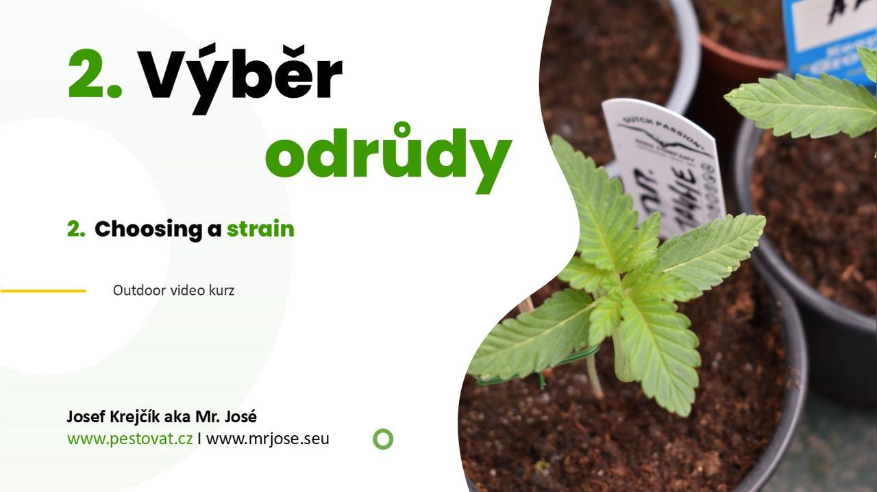2. lekce: Výběr vhodné odrůdy