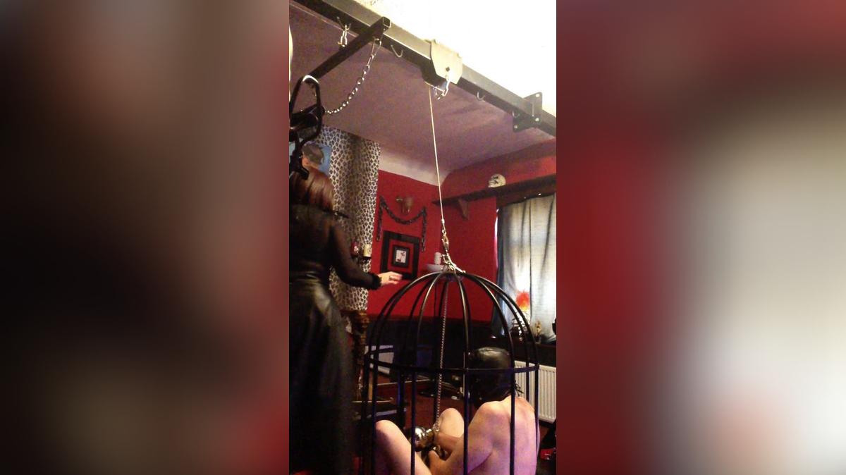 Mistress Erika - Walking the slave