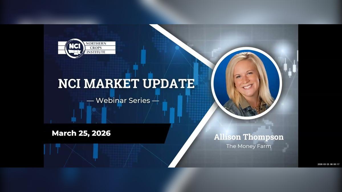 How the War is Impacting Each Major Grain with Allison Thompson