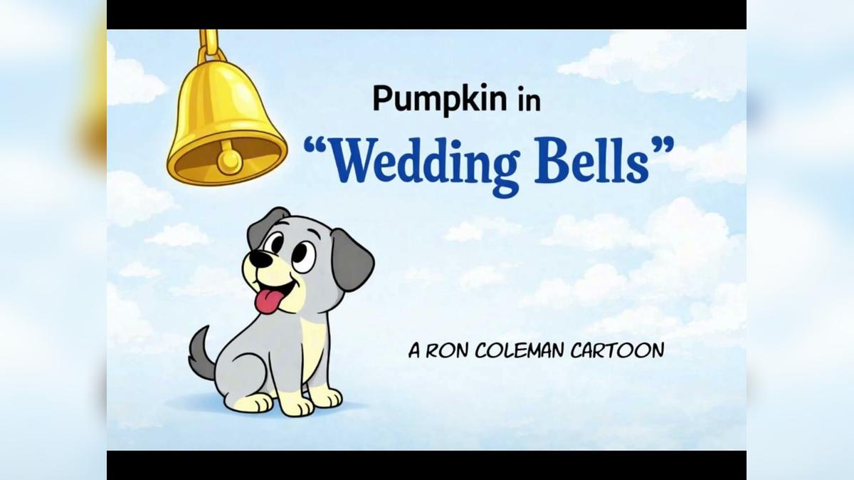 Wedding-Bells