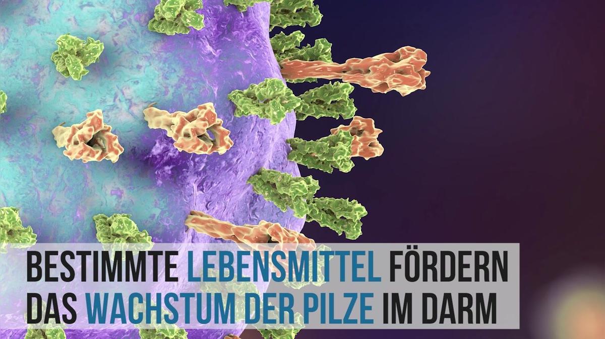 Wer hätte gedacht, dass dieses Lebensmittel Scheidenpilz auslösen kann?!