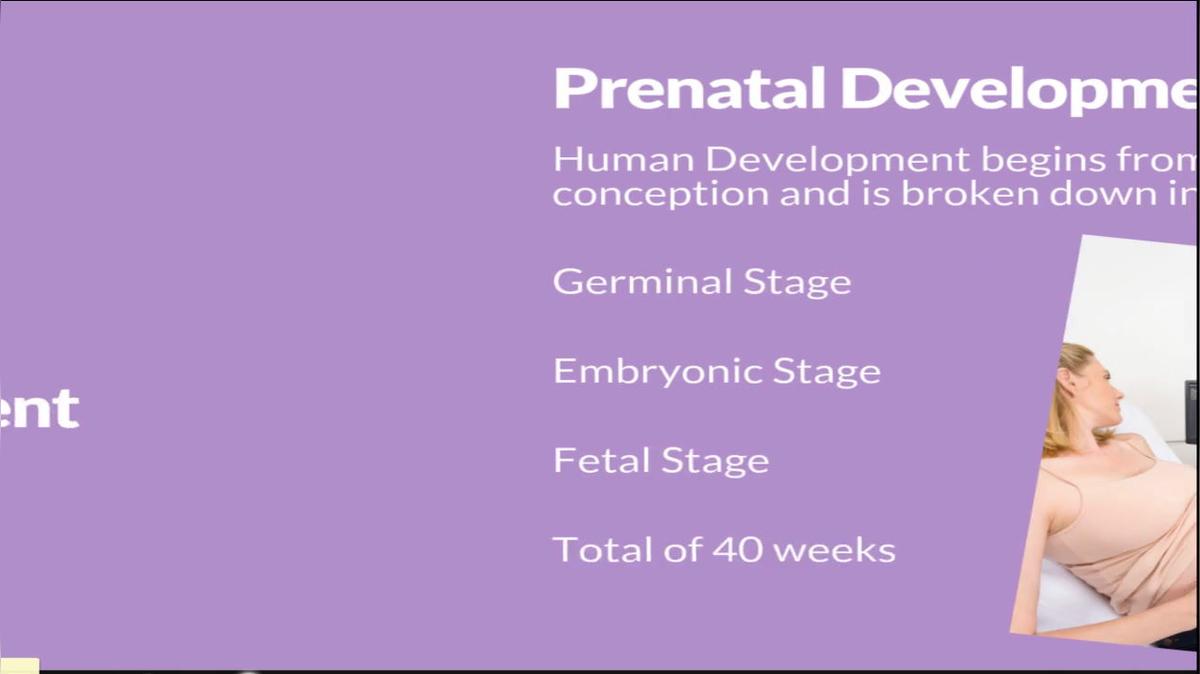 psych prenatal development.mp4