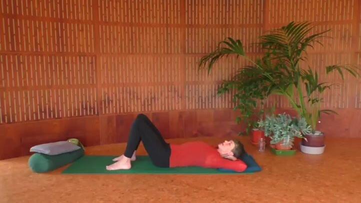 Leg shaking and vagal toning