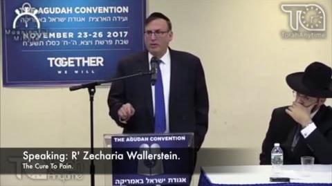 Rabbi Wallerstein. The Way to Heal Pain.