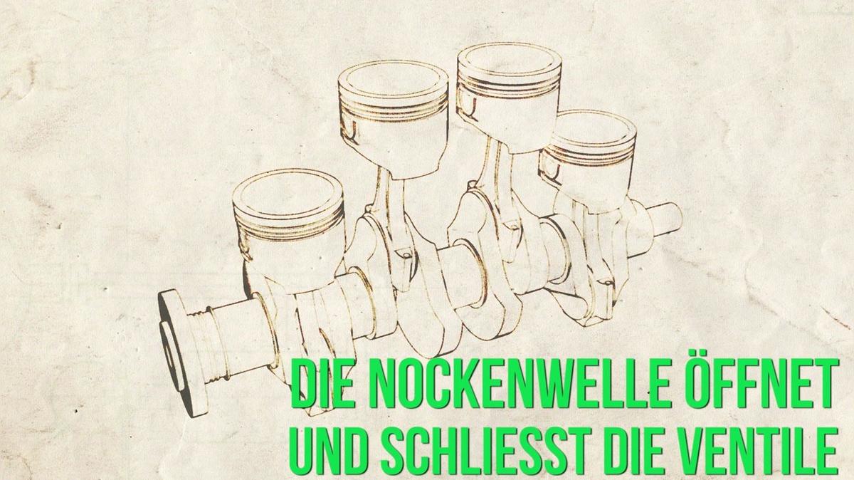 Fakten zum Zahnriemen