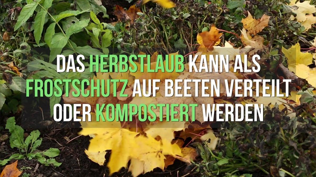 Video-Empfehlung: Home &amp; Garden