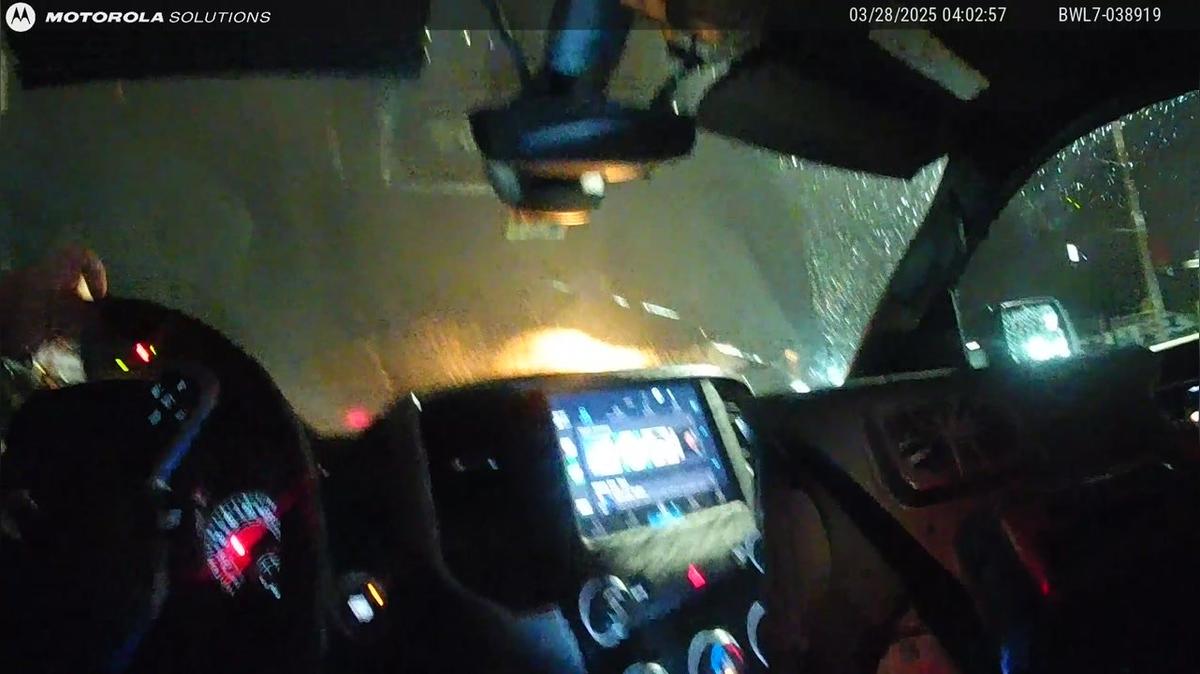 FPE286172 - Alem - Body