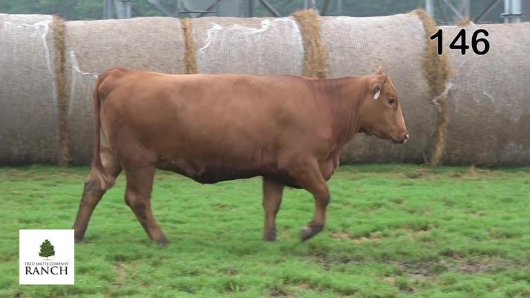 Lot 145 M105