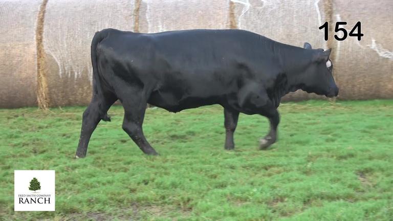 Lot 154 M019