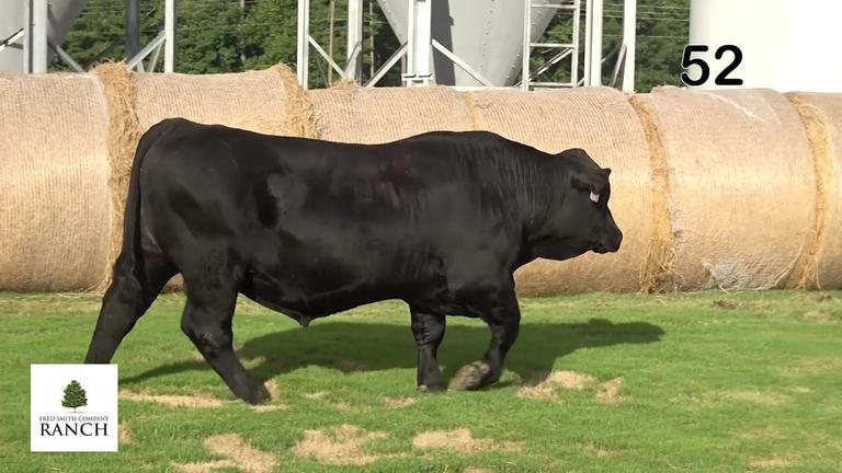 Lot 52 M039